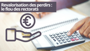 Revalorisation des perdirs : comment transformer un vrai progrès en fiasco de communication et de mise en œuvre ? [28.11.2024]